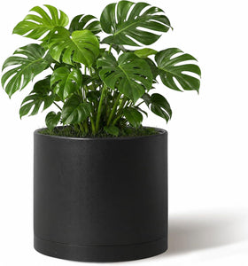 Giraffe Creation 10-inch round cylinder planter front view, perfect for showcasing orchids or greens on a shelf.
