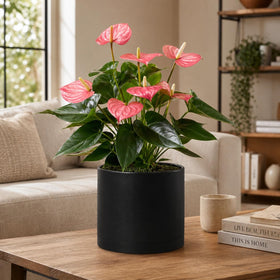 Giraffe Creation durable polypropylene pot balances ceramic aesthetics with lightweight portability.