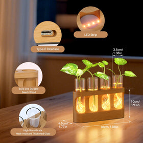 Giunn propagation station shows natural beech wood base for sturdy support and elegant décor.