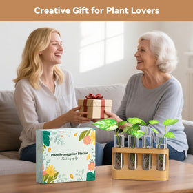 Giunn four glass test tubes allow easy observation and gentle hydroponic rooting.
