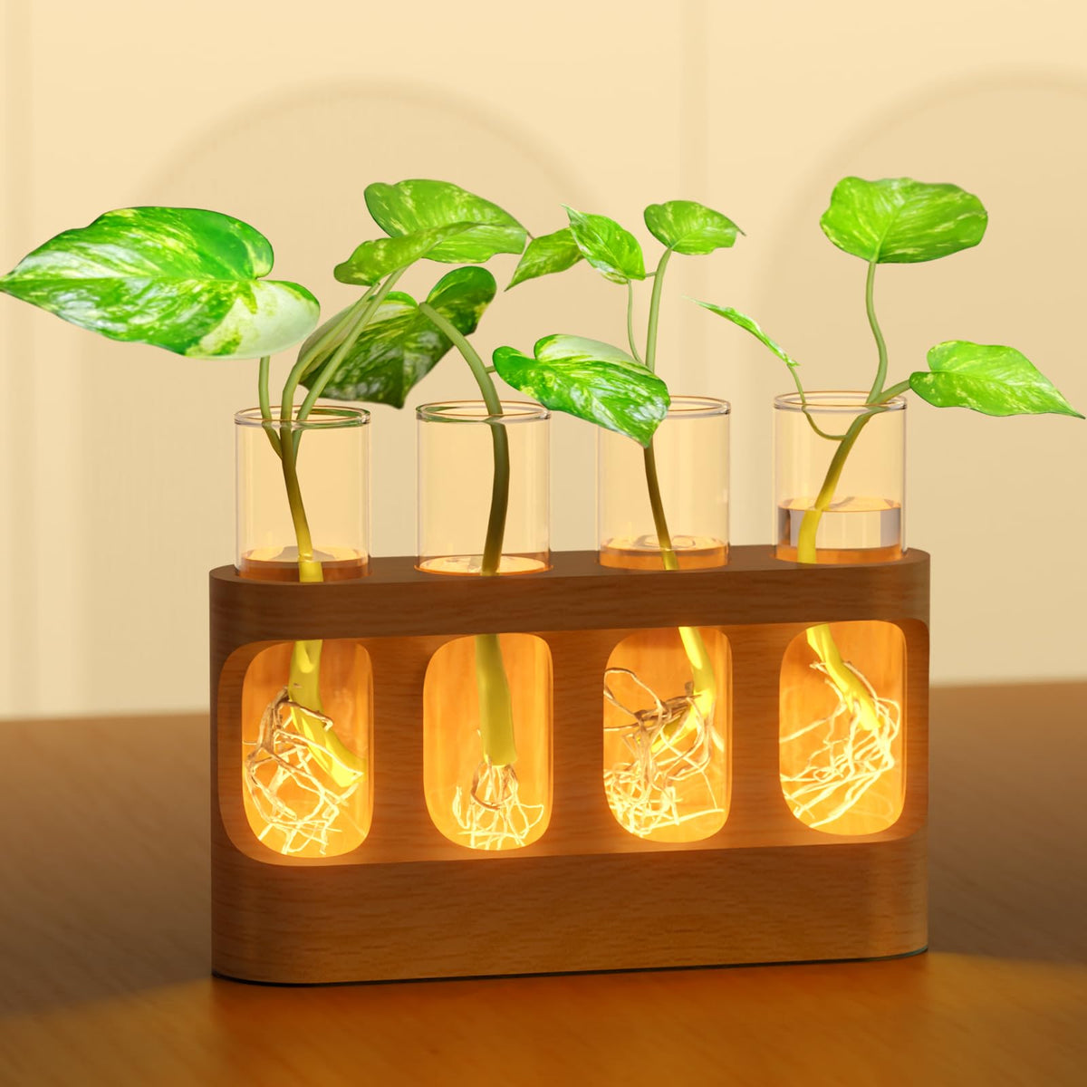 Giunn Plant Propagation Station with 9-brightness LED enabling adjustable light for healthy rooting.