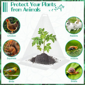 GJQ chicken-wire cloche with stakes keeps crops secure in outdoor beds.