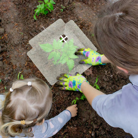 GJQ seedling cloche creates a mini greenhouse for tender starters.