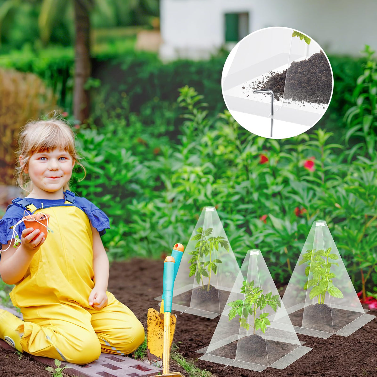 GJQ transparent PP cloche ensures high light transmission for healthy growth.