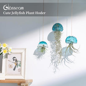Glasseam air plant hanger installation steps show quick, simple setup.