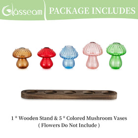 Glasseam indoor garden setup for tropical and woody plant cuttings.