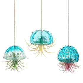 Glasseam jellyfish air plant hanger three-pack adds whimsy to window displays.