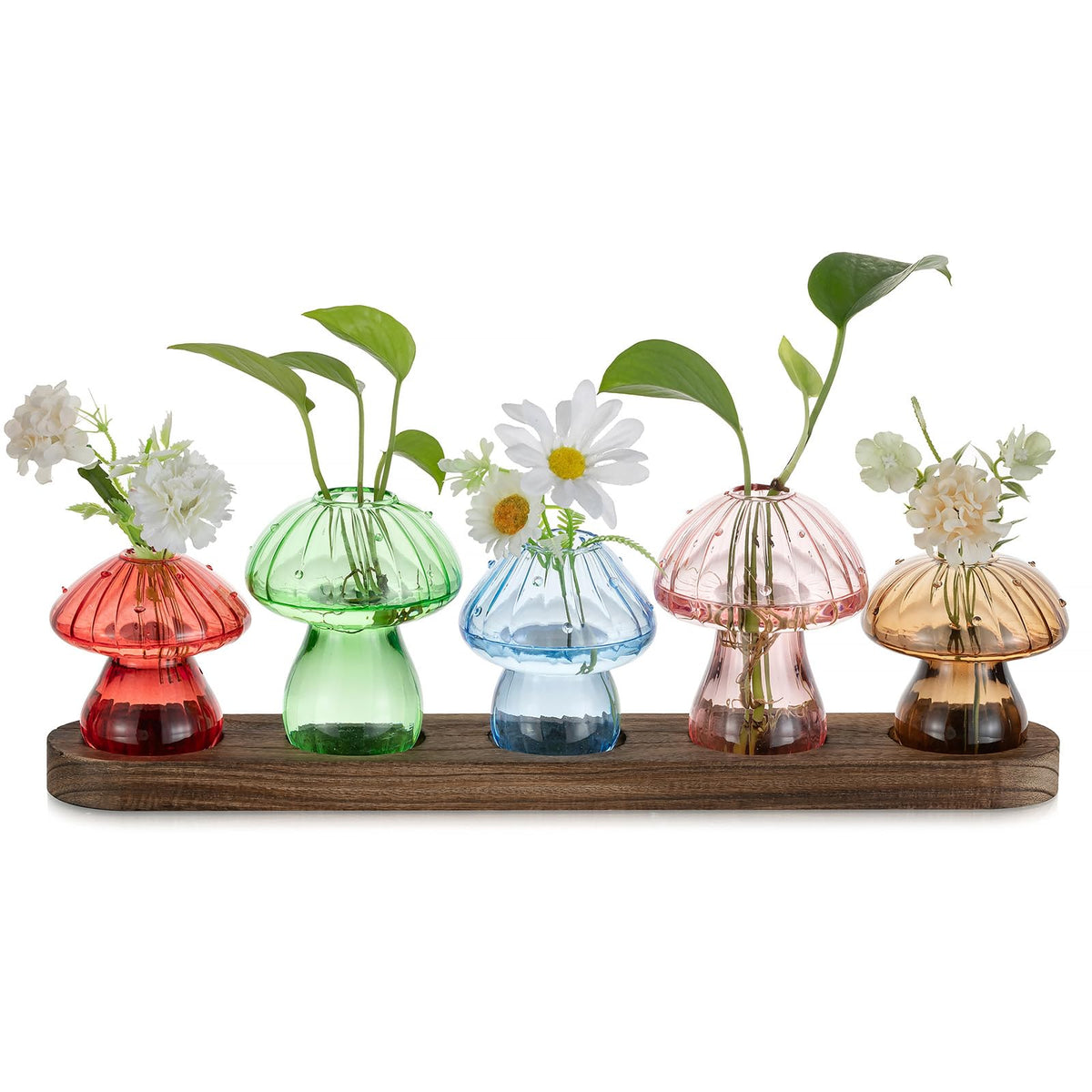 Glasseam mushroom propagation vase collection on wood stand, perfect for showcasing small plant cuttings.