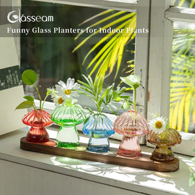 Glasseam propagation vase with wood base, designed for stable placement on desks or shelves.