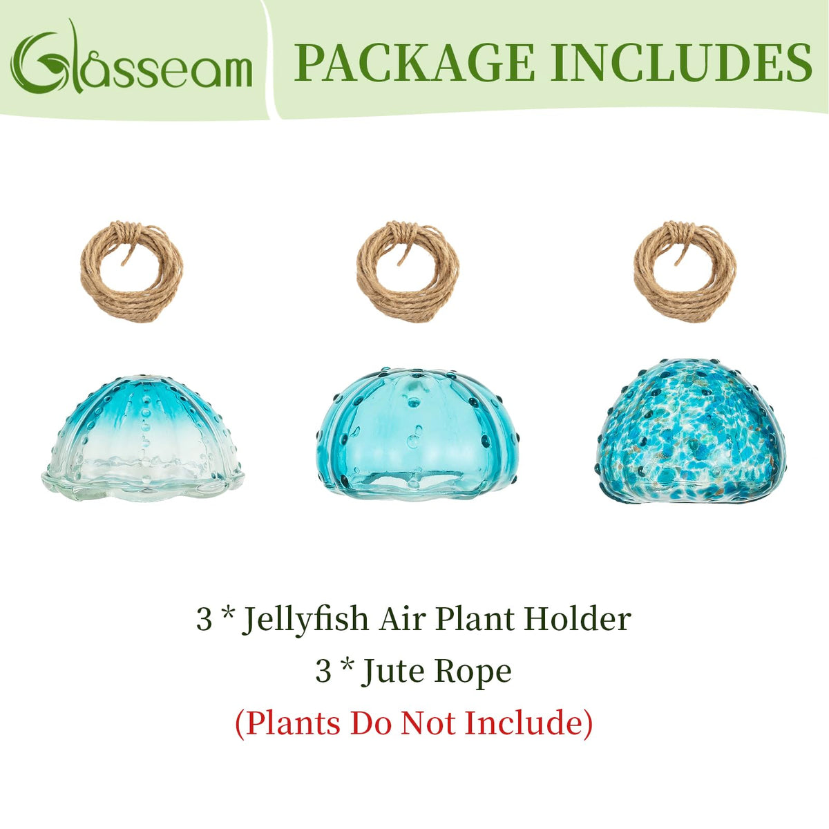 Glasseam compatible with Tillandsia usneoides for compact display.
