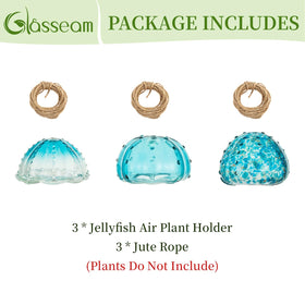 Glasseam compatible with Tillandsia usneoides for compact display.