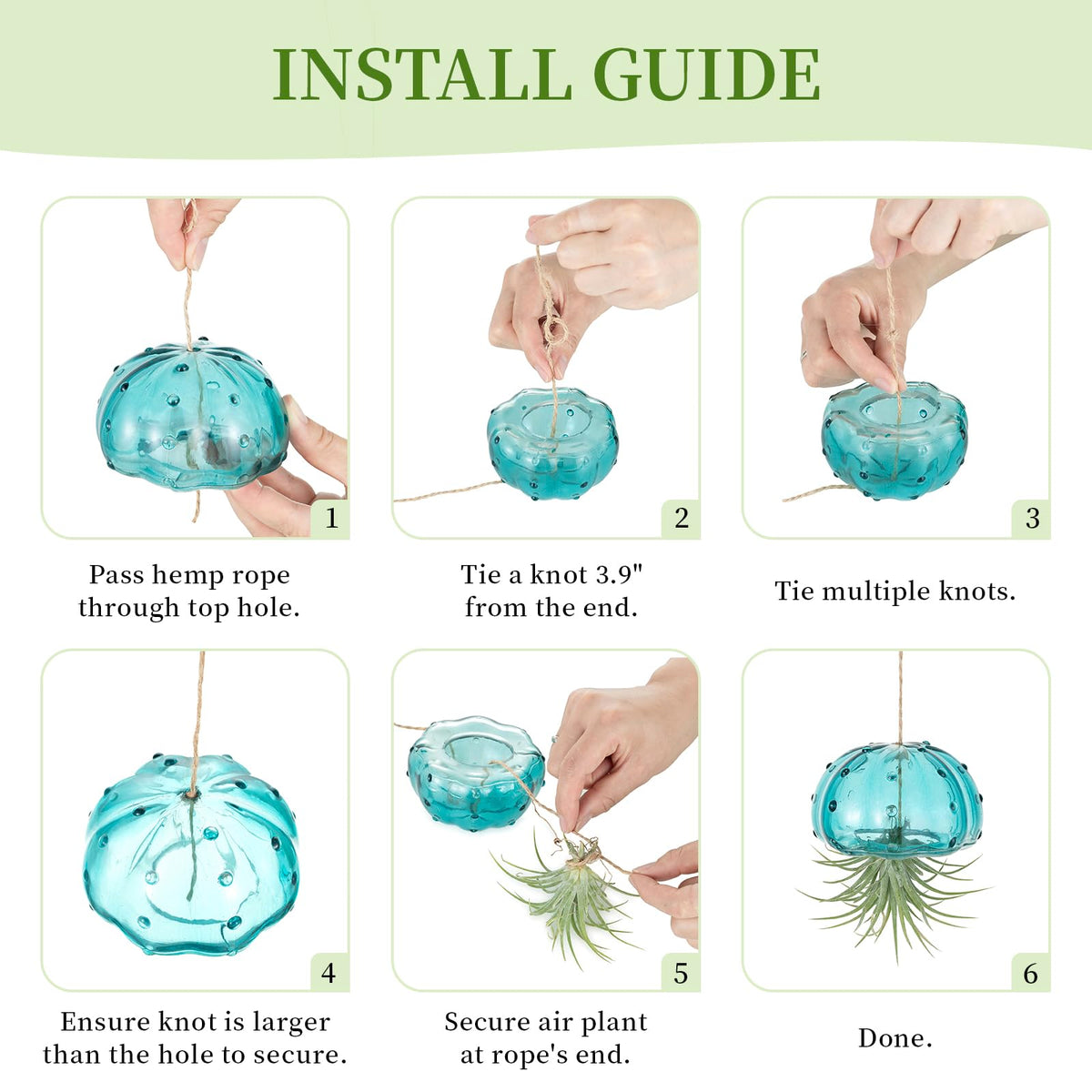 Glasseam vibrant color-dipped glass enhances decorative air plant display.