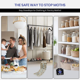 Glevro pheromone traps with glue panel attract moths in pantries
