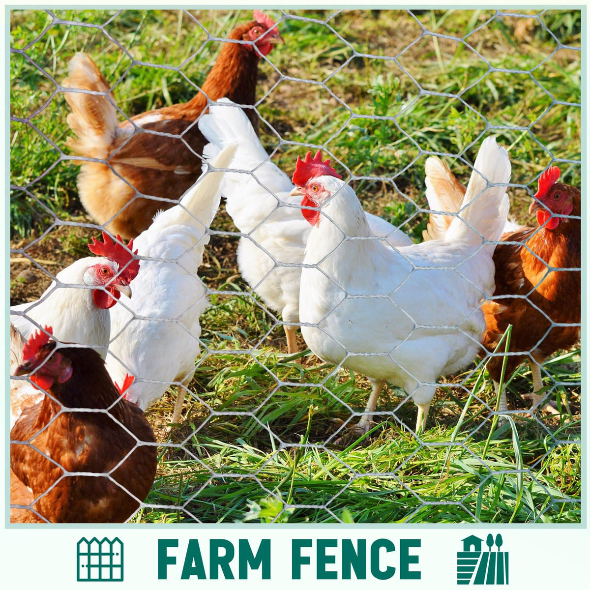 GlikCeil floral garden wire mesh adds elegance while protecting beds