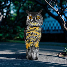 Glintoper indoor-outdoor owl adds decor while deterring birds.