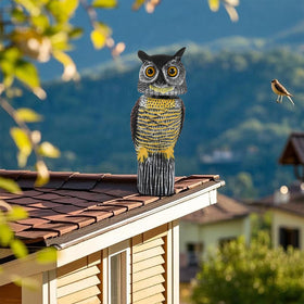Glintoper weatherproof coating protects owl in all weathers.