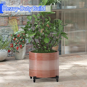 GLISWAM Cross-braced base helps top-heavy plants stay balanced.