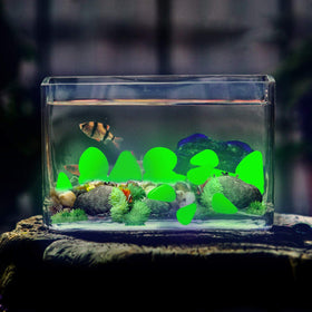 GLOCARNIVAL Glow Pebbles Green glow in aquariums and tanks.