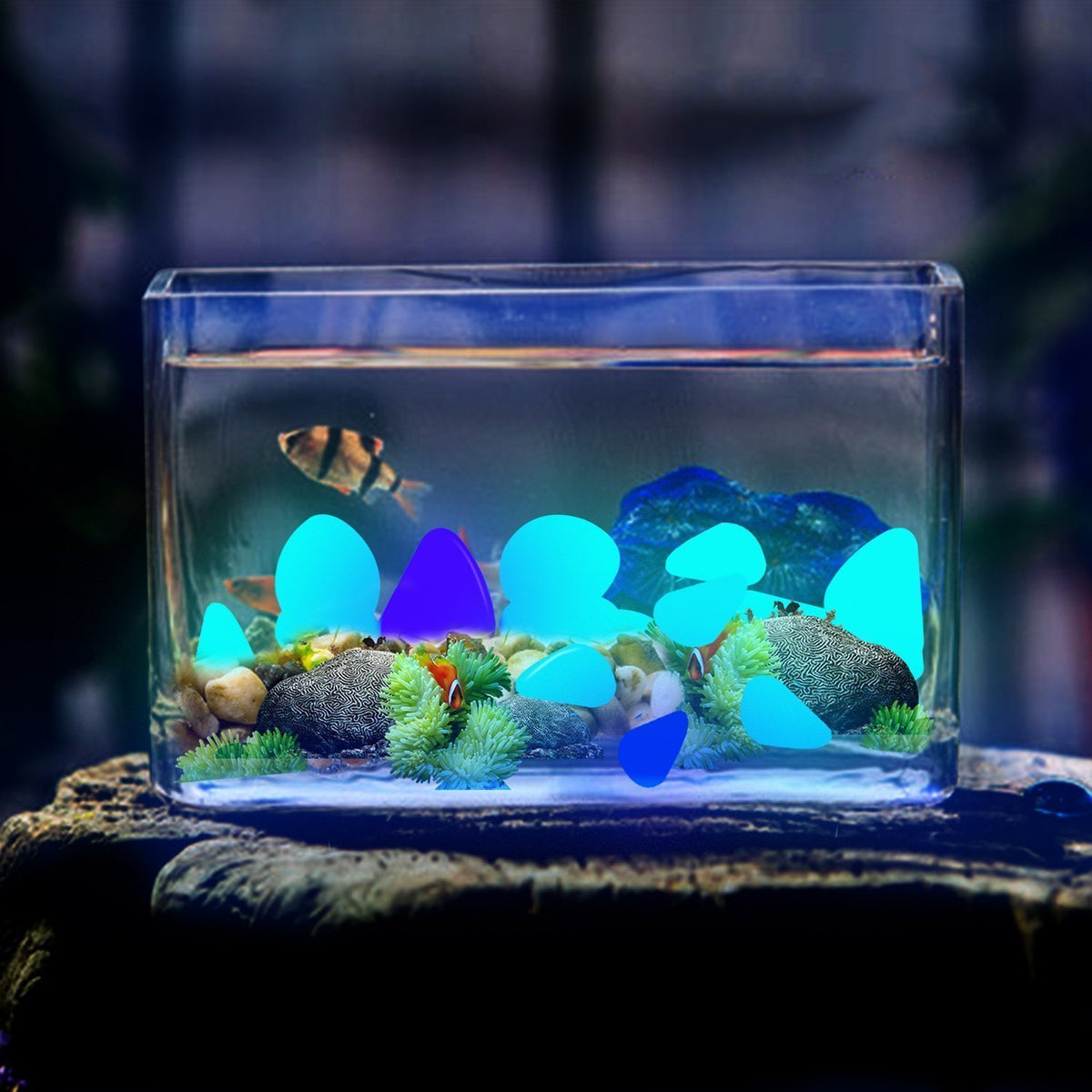 GLOCARNIVAL Glow Pebbles decorate a potted plant with blue glow