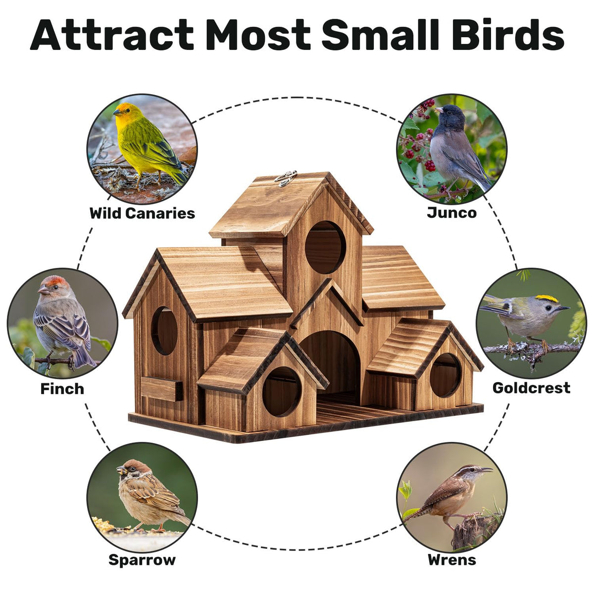 GLOPHOK wide base encourages chick movement and airflow inside the nest