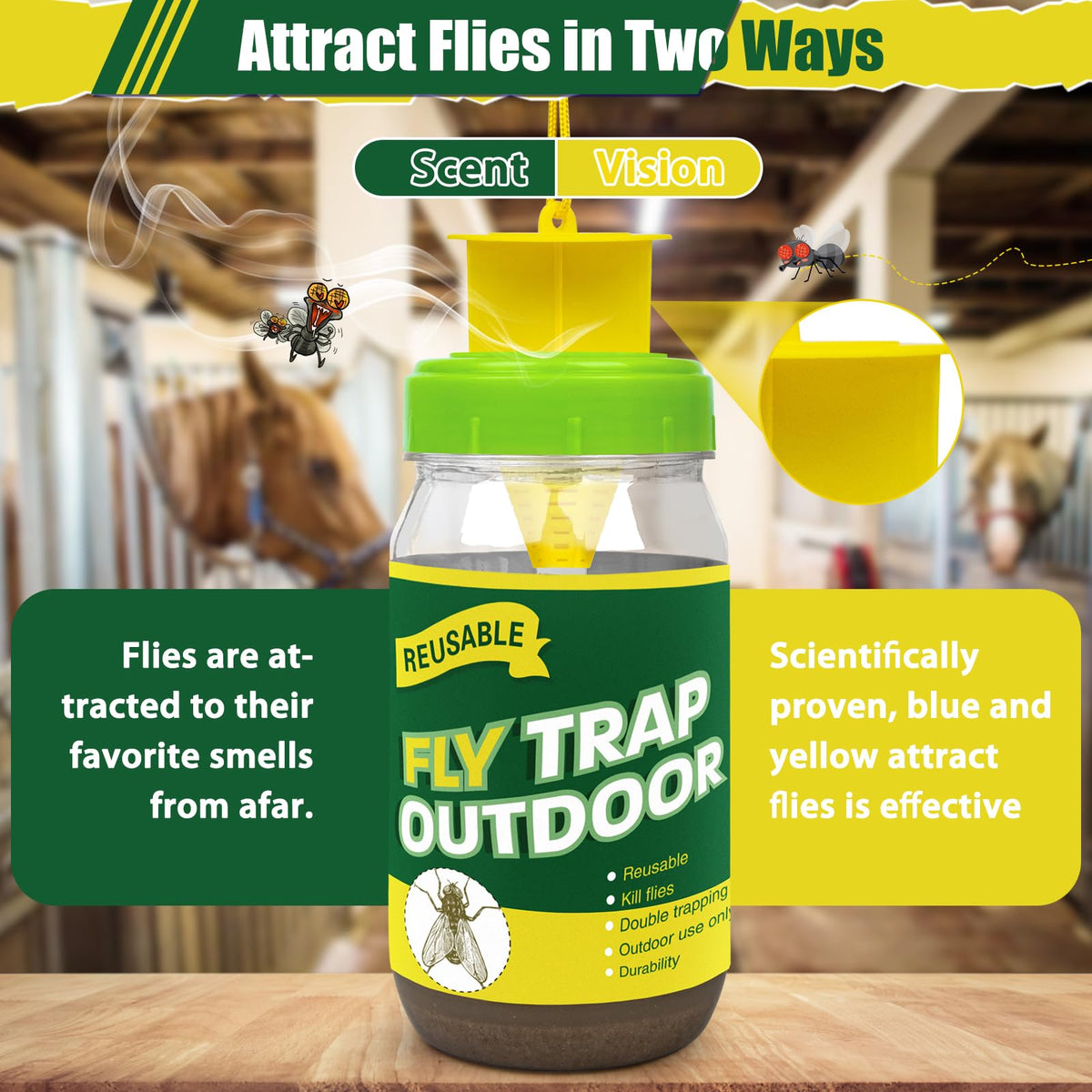 Glovv bait pouring into fly trap helps lure flies effectively.