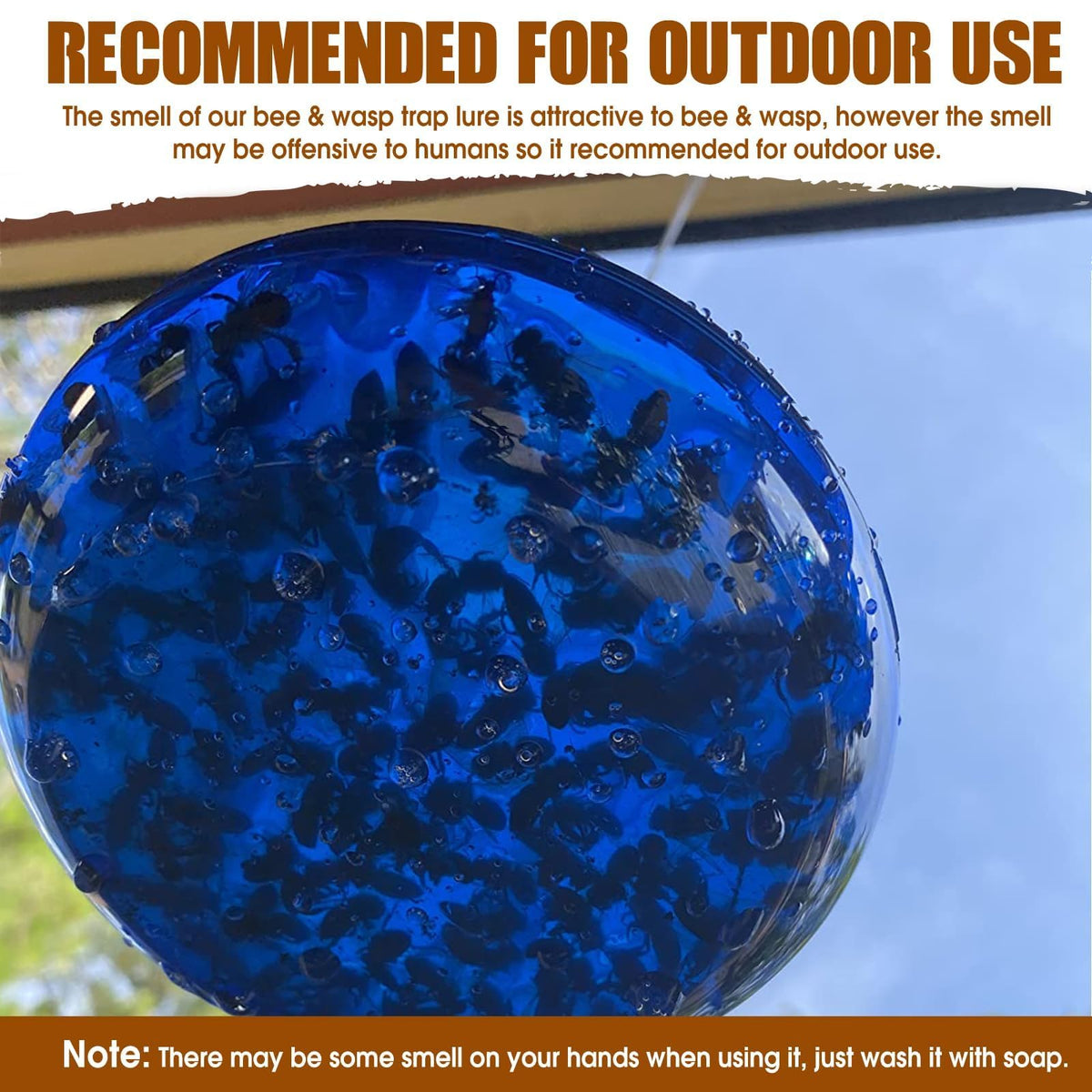 Glovv bee trap lure attracting queen and worker carpenter bees to traps