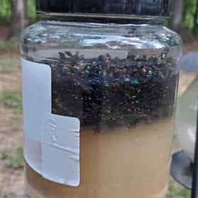 Glovv eco-friendly bait option for outdoors without harsh chemicals.