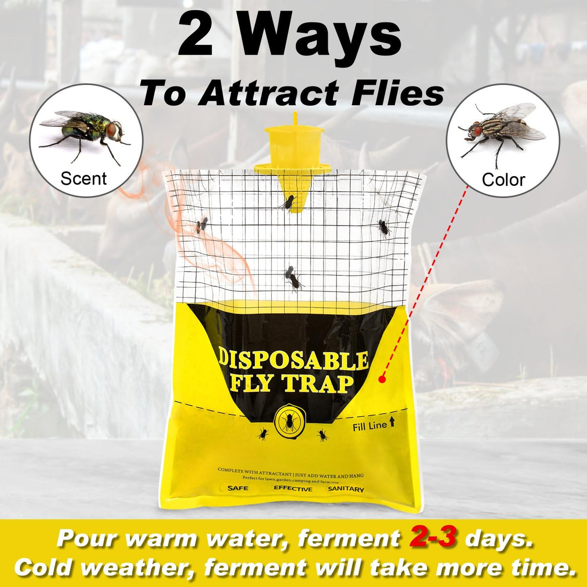 Glovv fly trap bait ingredients 50g attracting flies effectively
