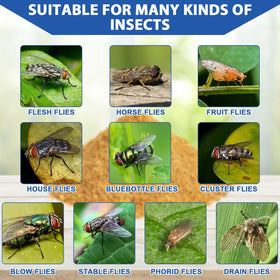 Glovv attractant bait creates odor lure for outdoor fly control.