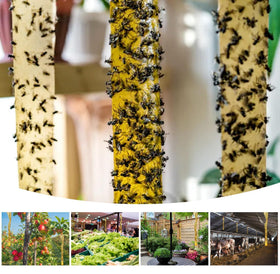 Glovv fly trap outdoor sticky paper protects gardens and porches from flying insects.