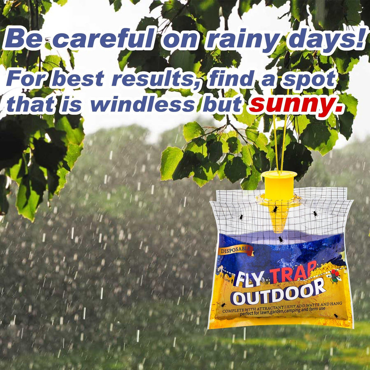 Glovv bait ferments in warm weather to attract insects.