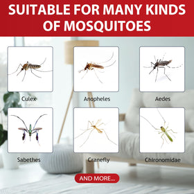 Glovv indoor-outdoor lure suitable for many mosquito traps.