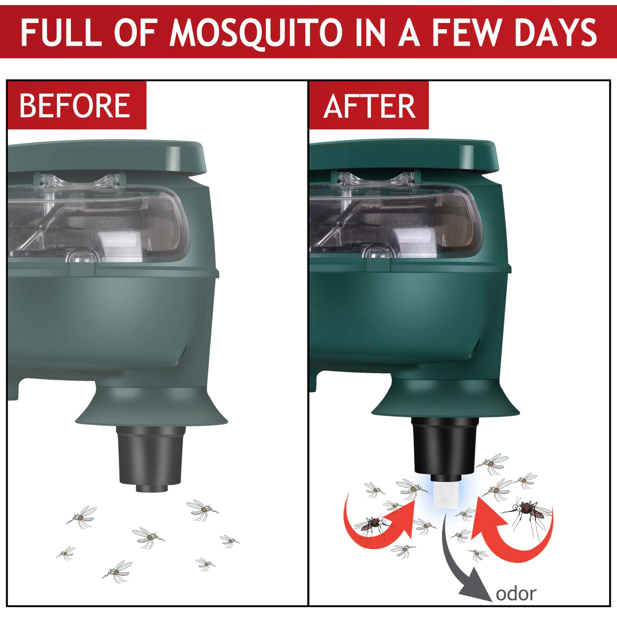 Glovv long-lasting bait refill for weeks of attraction.