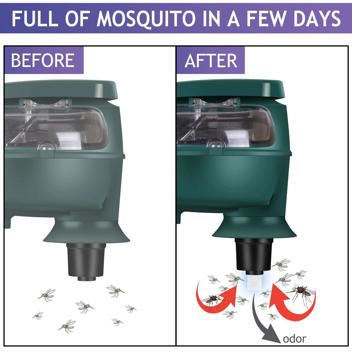 Refill being placed into a trap for indoor mosquito control
