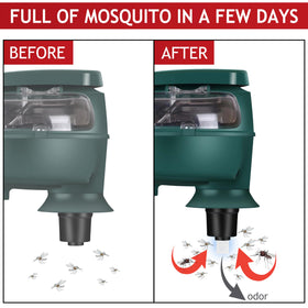 Glovv refill bait durability highlights long-lasting efficacy for regular replacements.