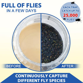 Glovv outdoor fly trap area using bait refills for effective results.