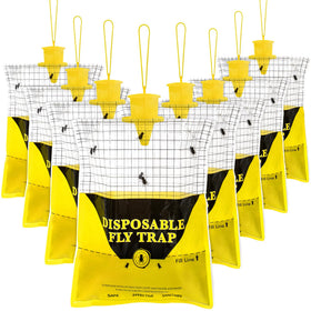 Glovv outdoor fly trap hanging on patio for cleaner outdoor spaces