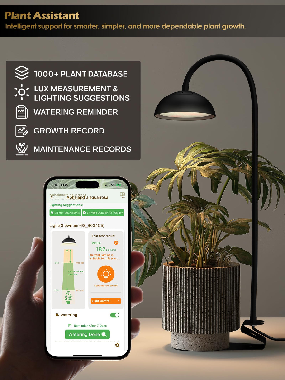 Glowrium Sun-Sync timer mimics natural daylight patterns for steady care