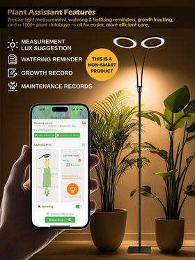 GLOWRIUM grow light features enlarged lamp head for broader coverage.
