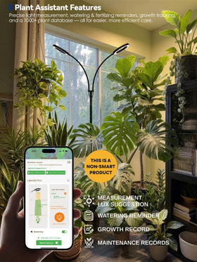 GLOWRIUM full-spectrum LED grow light mimics natural sunlight for healthy growth.