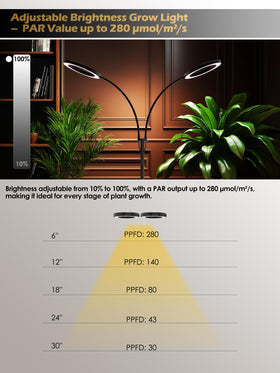 GLOWRIUM 24V low-voltage system ensures safe, stable operation.