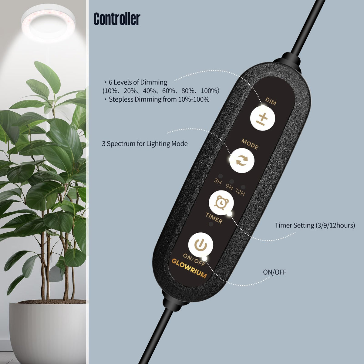 GLOWRIUM timer-controlled lighting for convenient schedules