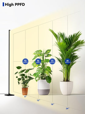 Glowrium on/off switch for simple, daily plant care control.