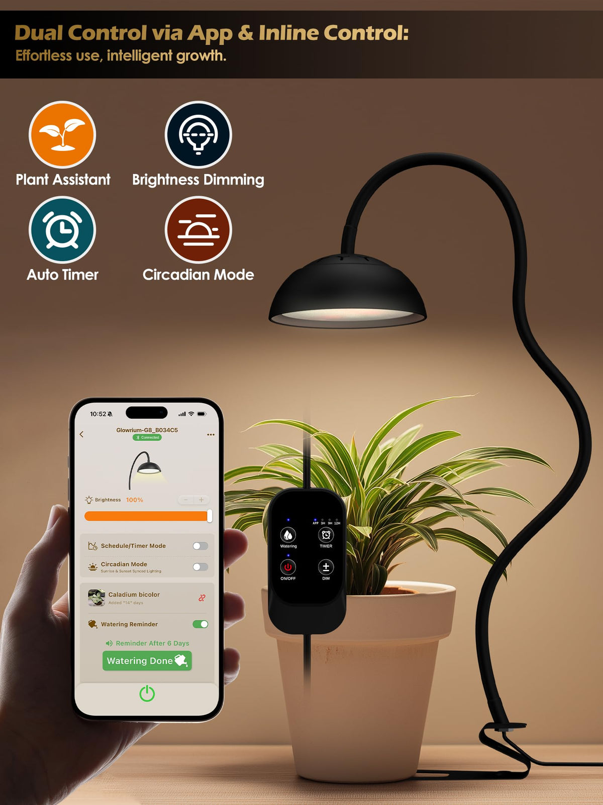 Glowrium Grow Light with dimmable controls enables precise lighting for diverse plants