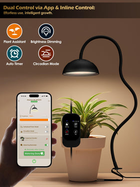 Glowrium Grow Light with dimmable controls enables precise lighting for diverse plants