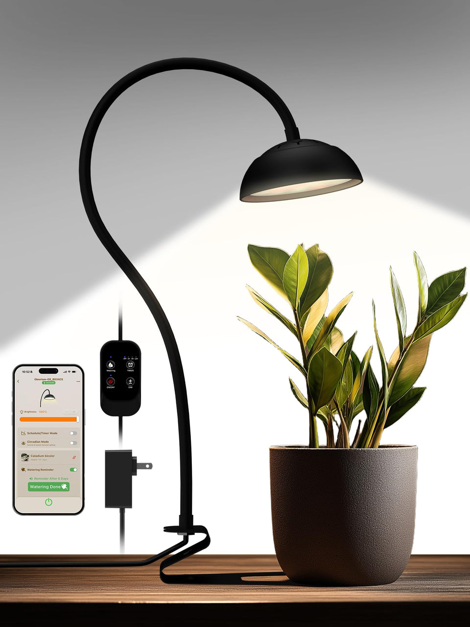 Glowrium Smart Grow Light full-spectrum setup supports healthy indoor plant growth