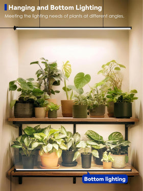 Glowrium wide illumination area covering multiple indoor plants with a single unit.