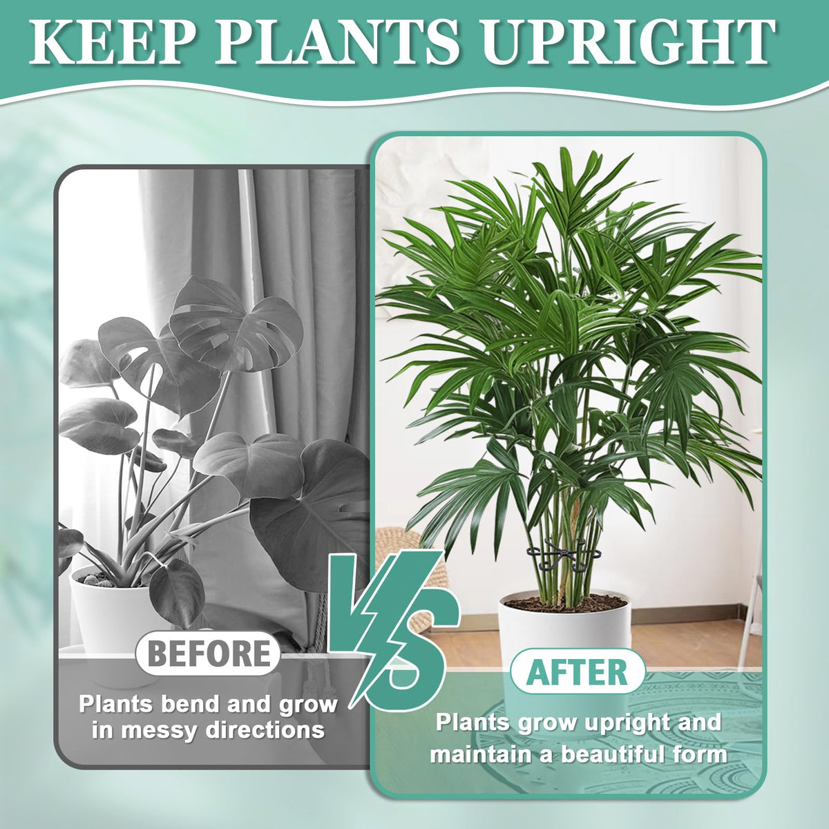 GLCSC stem holders for roses, jasmine, and pothos improve stability.