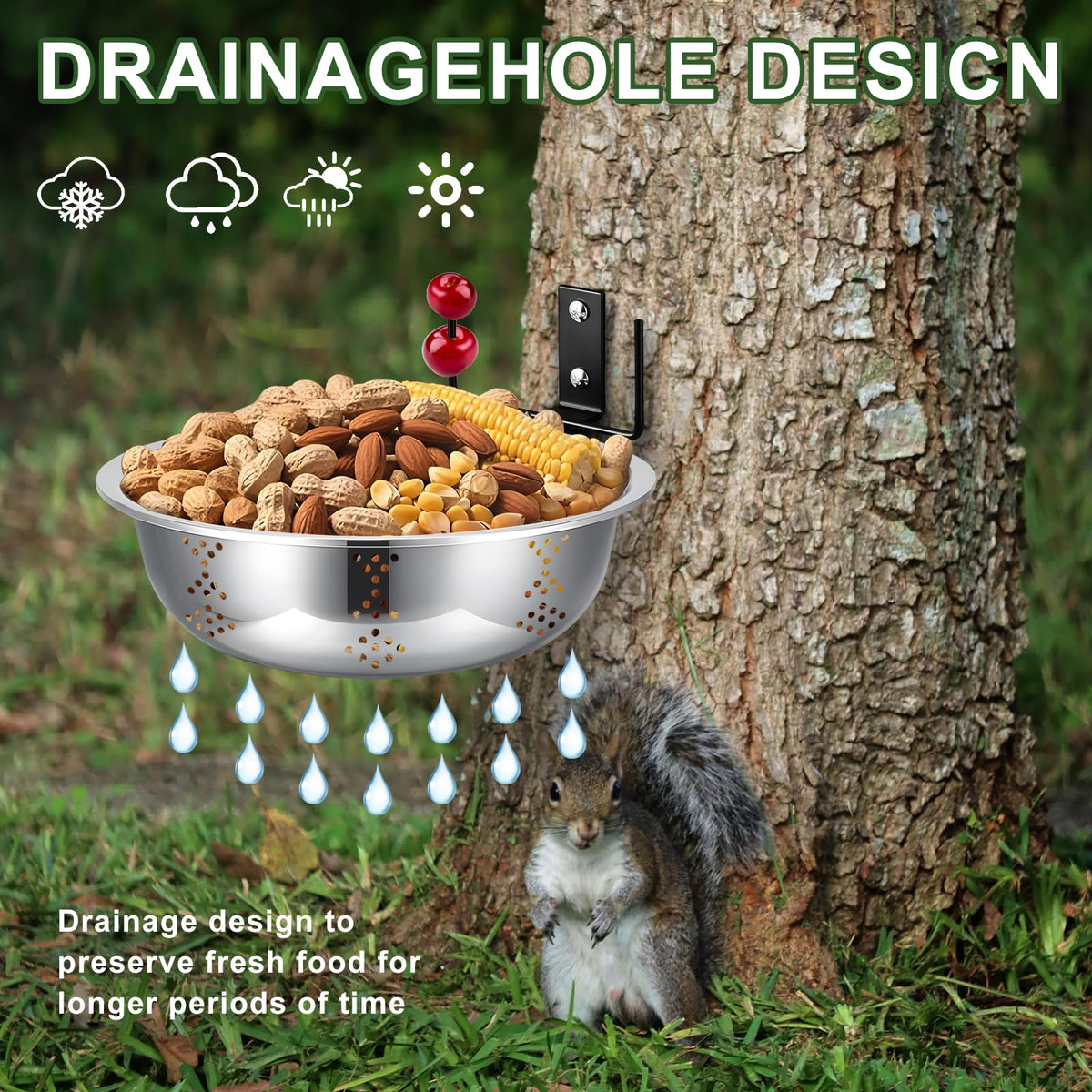 Gnodry Squirrel Feeder easy installation secures to trees or fences