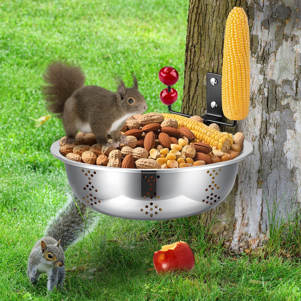 Gnodry Squirrel Feeder tree-mounted bowl ready for steady backyard visits